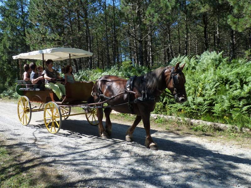 Attacchi - Wagonnette Berrard  