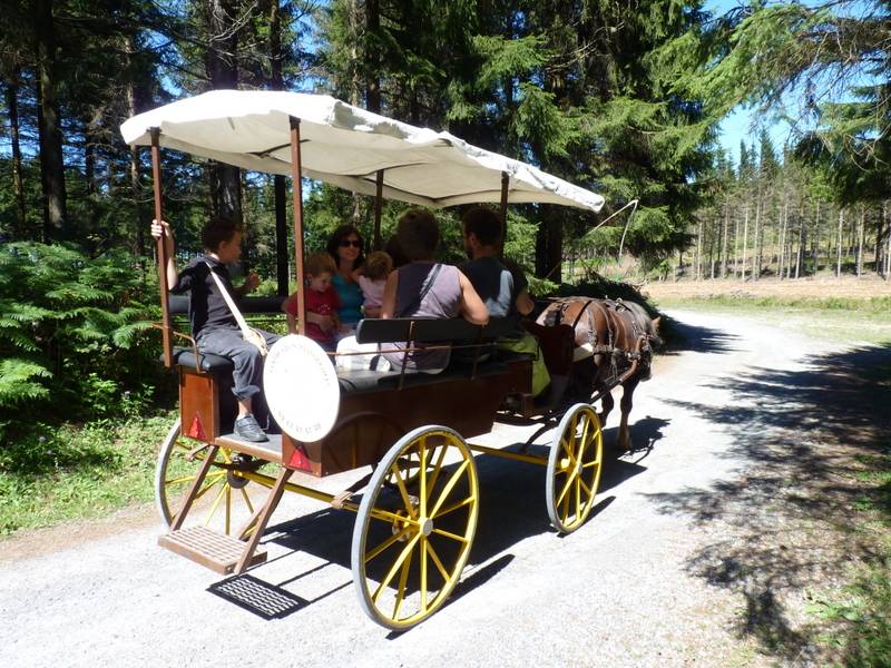 Attacchi - Wagonnette Berrard  