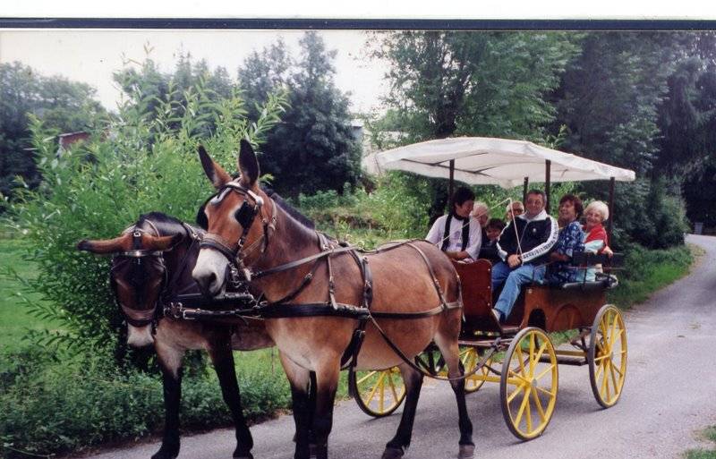 Attacchi - Wagonnette Berrard  