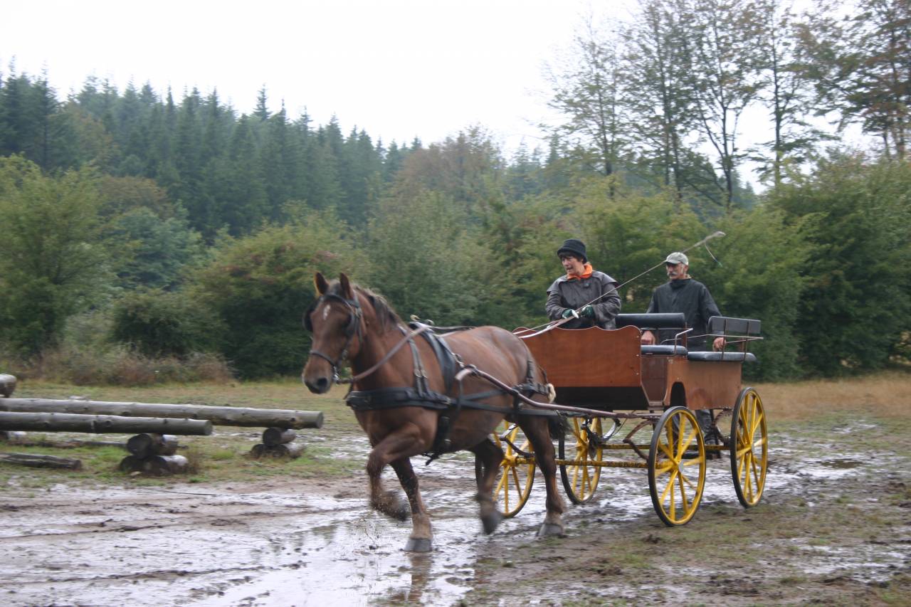 Attacchi - Wagonnette Berrard  