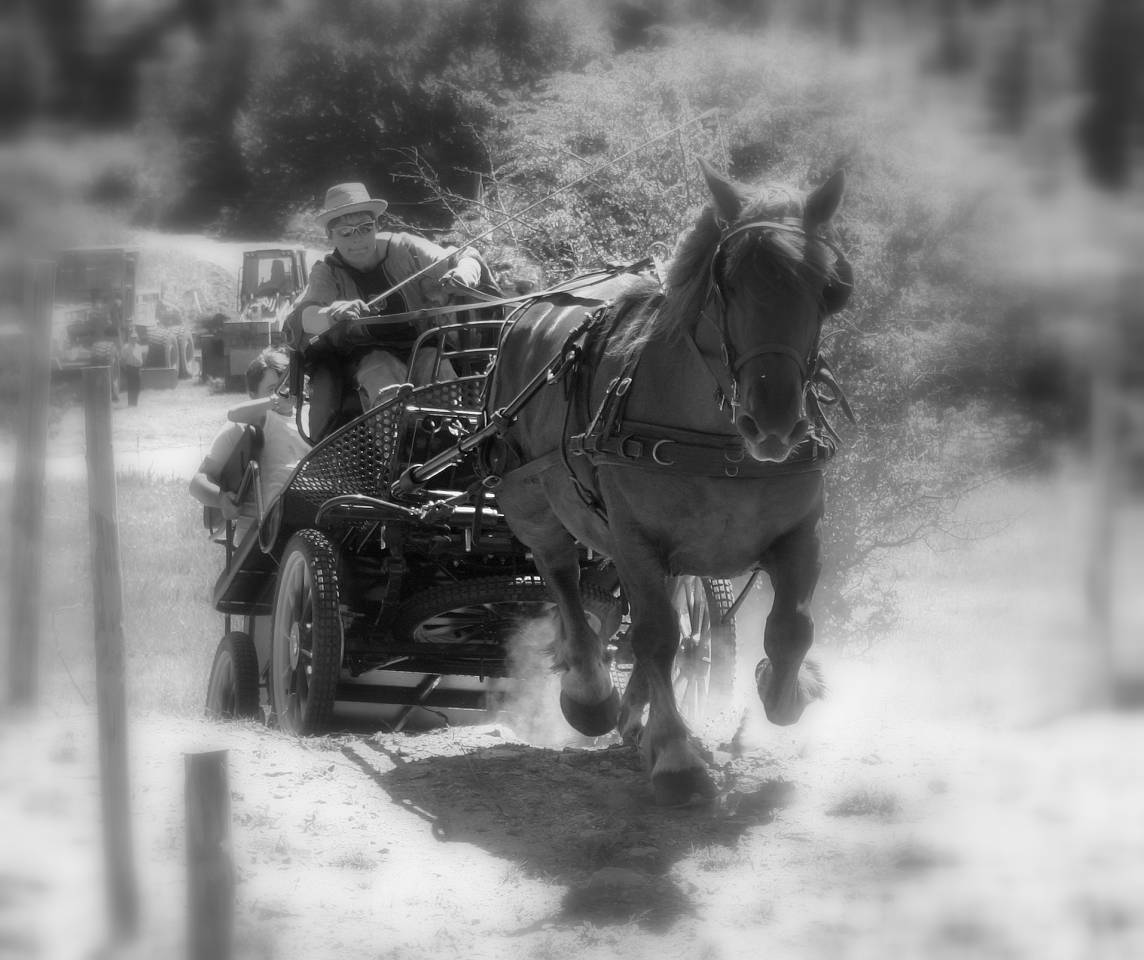 Attacchi - Break - Altra marca - marathon ralongé tourisme RANDO 