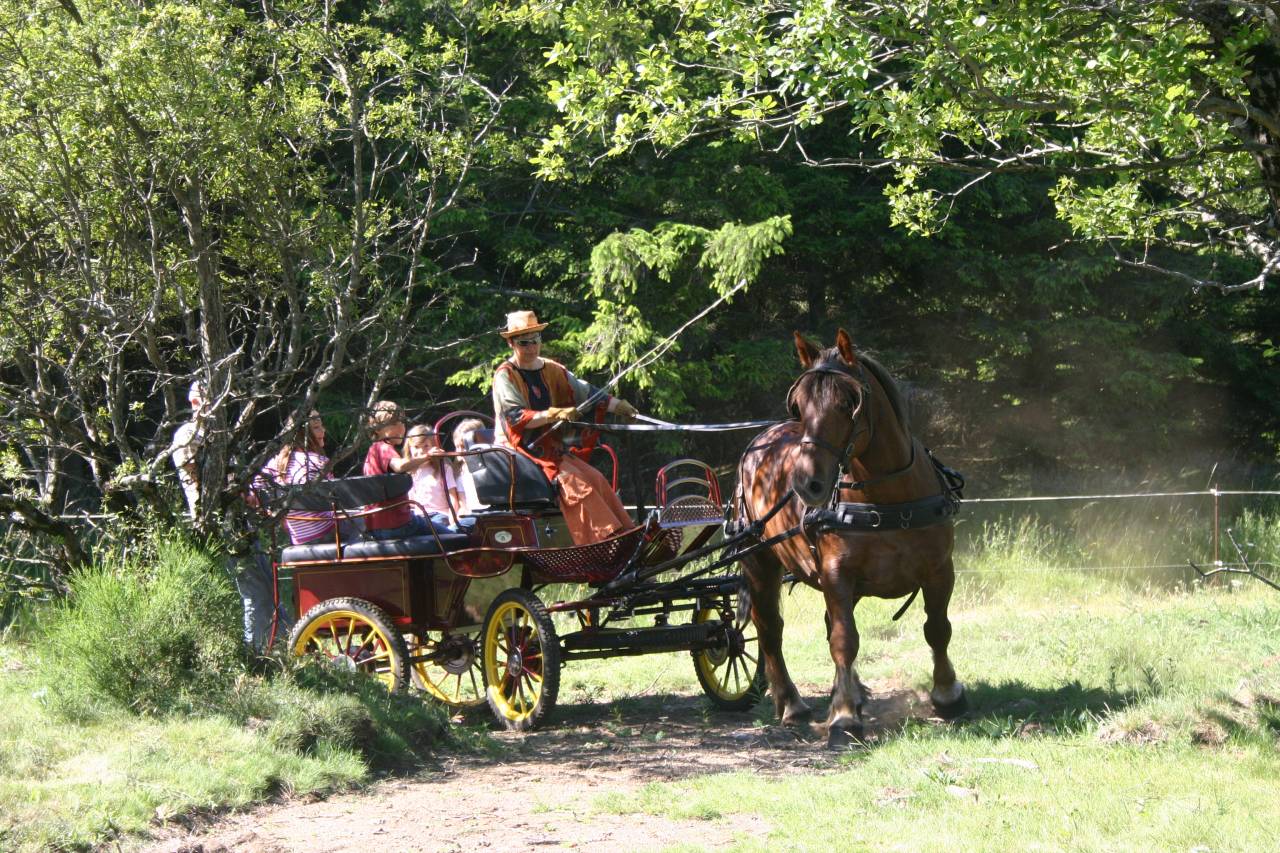 Attacchi - Break - Altra marca - marathon ralongé tourisme RANDO 