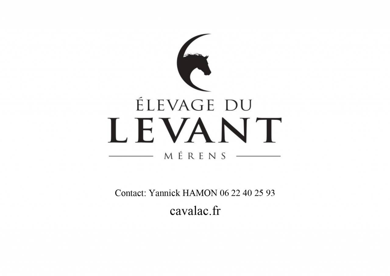 Cavalla M&eacute;rens In vendita 2019 Nero