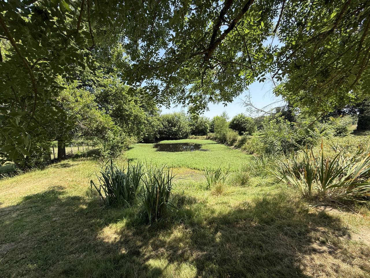 Proprietà equestre In vendita Dordogne