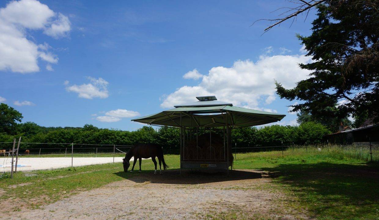 Proprietà equestre In vendita Allier