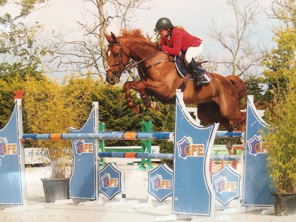 Castrone Sella Francese In vendita 2024 Sauro brulé