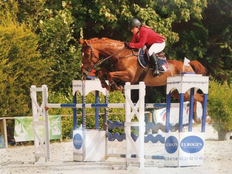 Castrone Sella Francese In vendita 2024 Sauro brulé