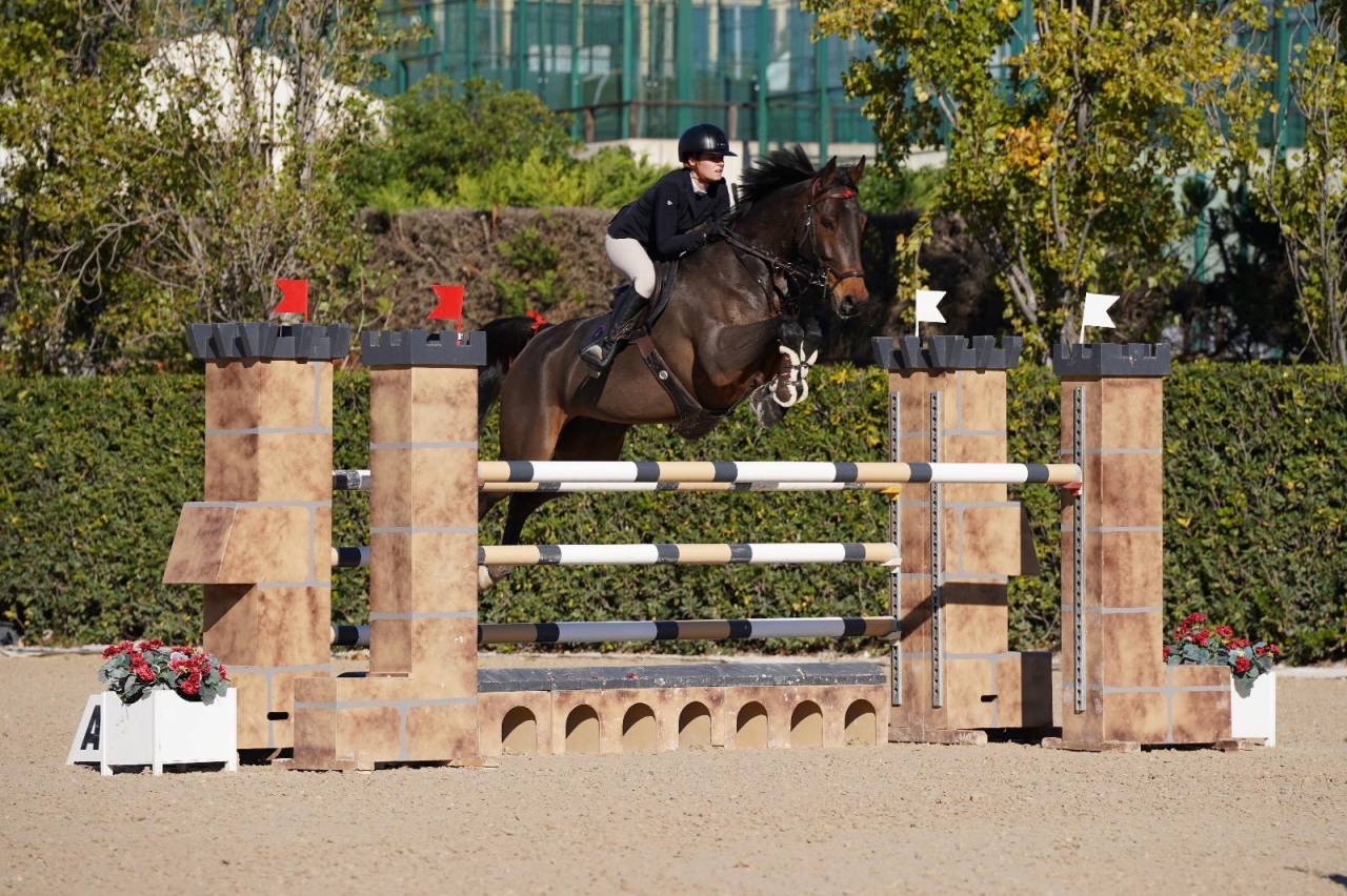 Cavalla Oldenburger In vendita 2017 Baio