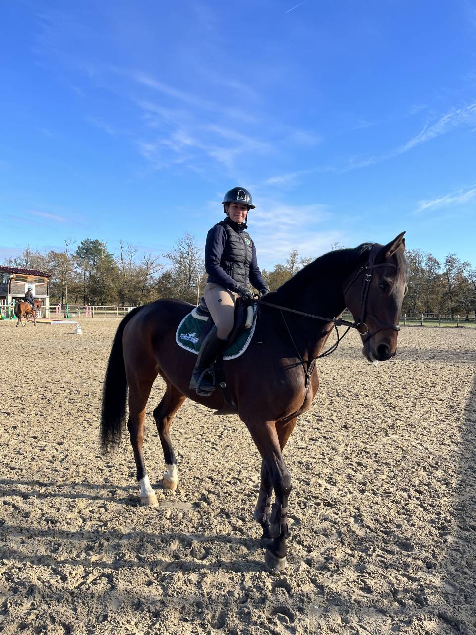 Cavalla Oldenburger In vendita 2017 Baio