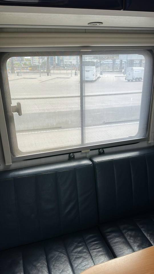 Camion per Cavalli Man MAN 0 Occasione