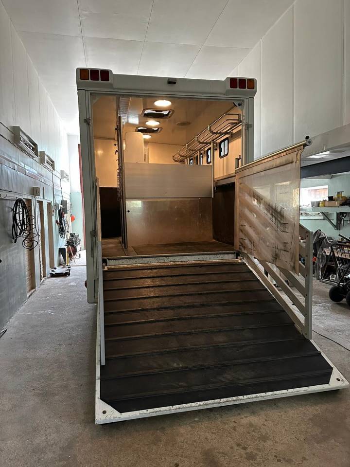 Camion per Cavalli Man MAN 0 Occasione