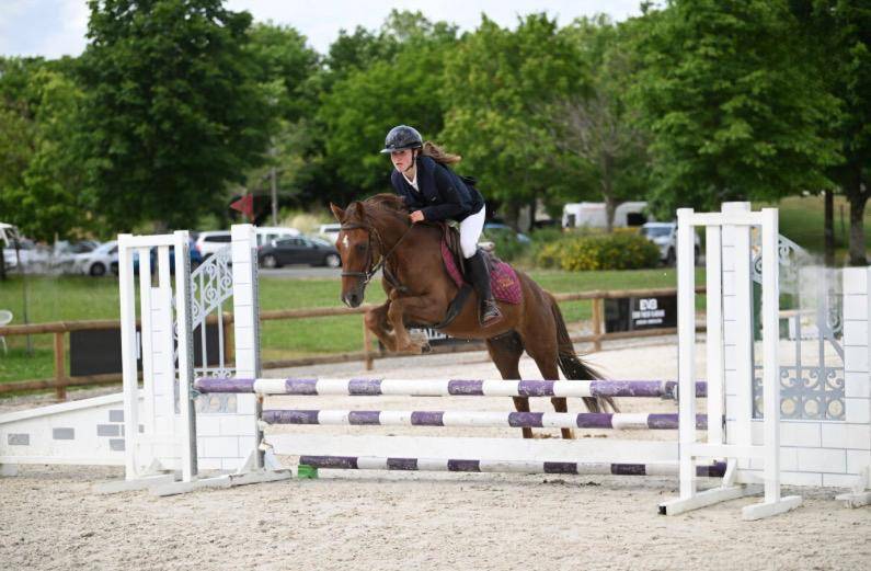 Castrone New Forest In vendita 2021 Sauro ,  Birkilds Balboa