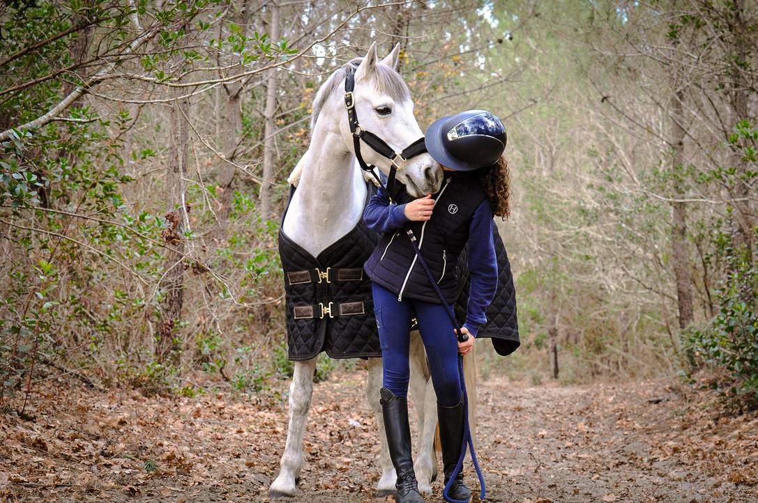 Castrone Connemara In vendita 2012 Grigio ,  DON JUAN V'hn