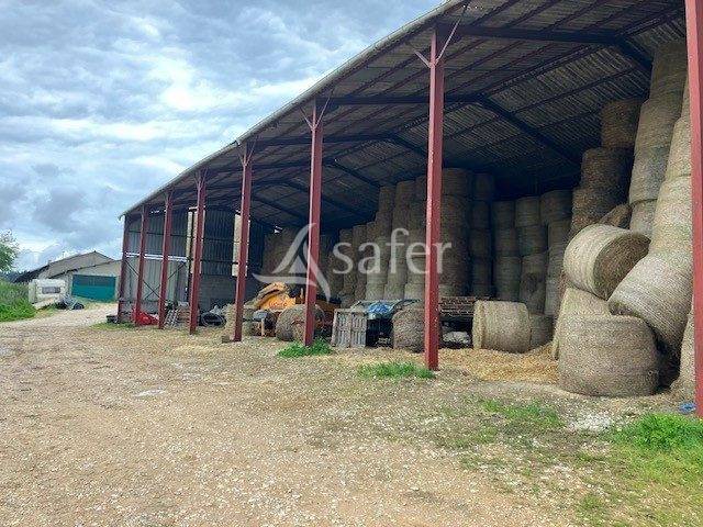 Azienda lattaia In vendita Jura