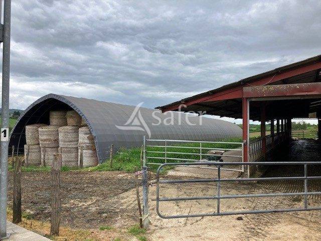Azienda lattaia In vendita Jura