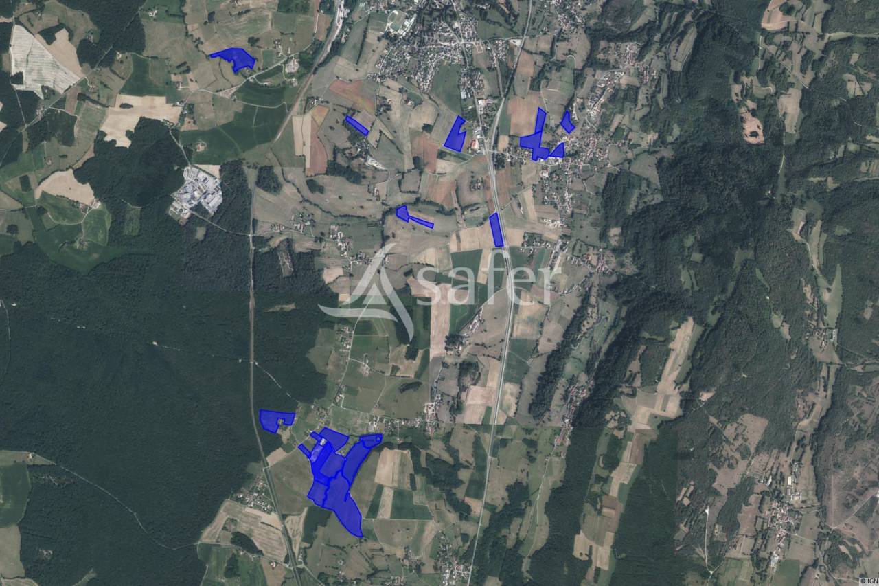 Azienda lattaia In vendita Jura