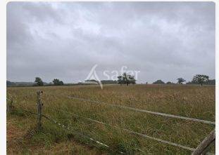 Azienda agricola In vendita Loire-Atlantique