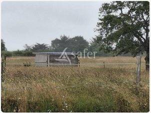 Azienda agricola In vendita Loire-Atlantique