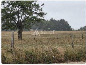Azienda agricola In vendita Loire-Atlantique