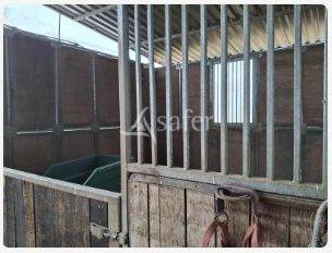 Azienda agricola In vendita Loire-Atlantique