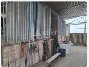 Azienda agricola In vendita Loire-Atlantique