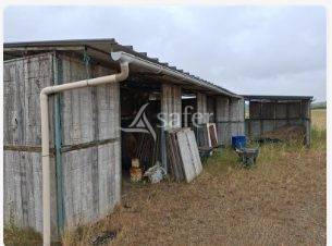 Azienda agricola In vendita Loire-Atlantique
