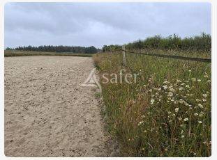Azienda agricola In vendita Loire-Atlantique