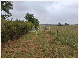 Azienda agricola In vendita Loire-Atlantique