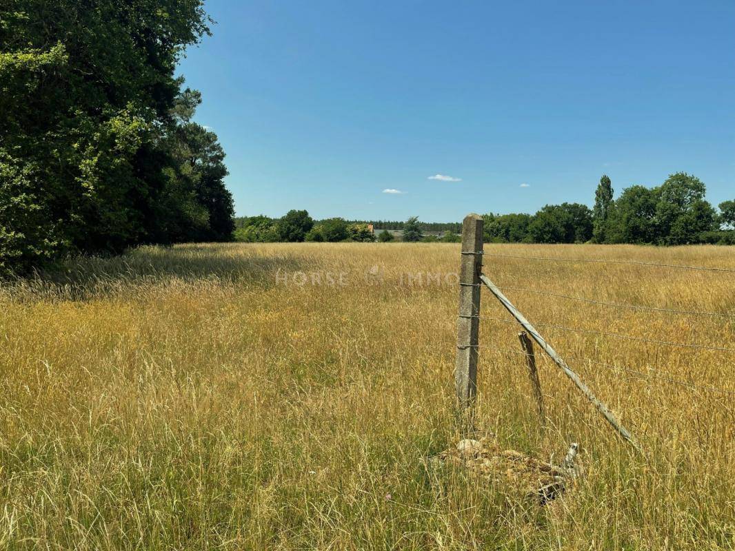 Proprietà equestre In vendita Maine-et-Loire