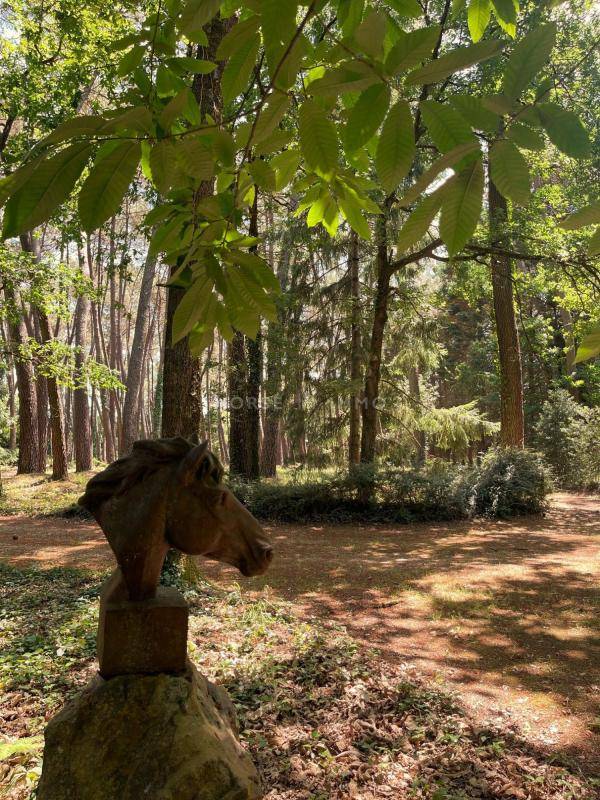 Proprietà equestre In vendita Maine-et-Loire