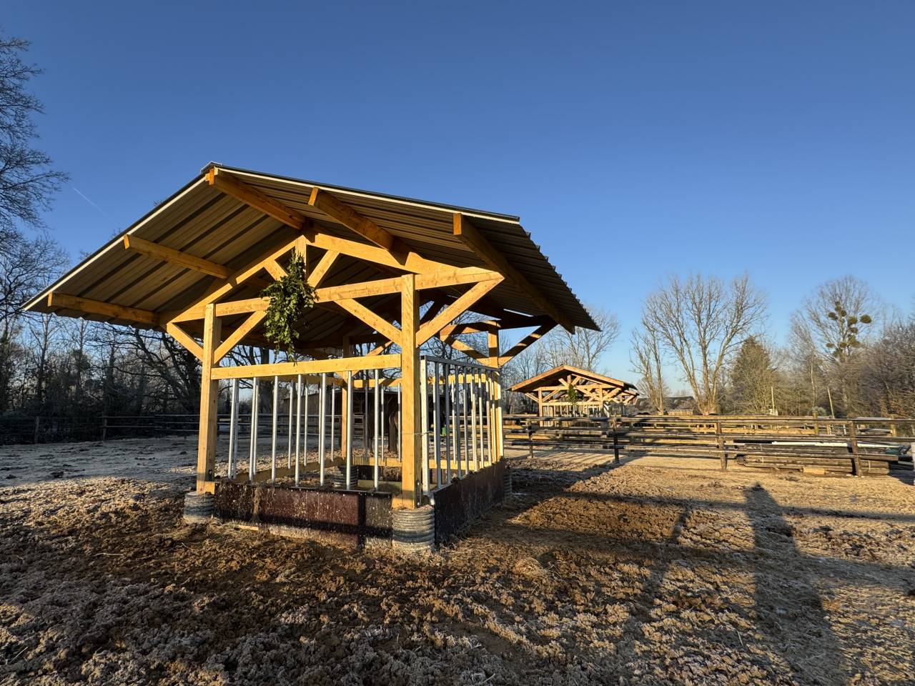 Yeguada Los Siete Reinos 