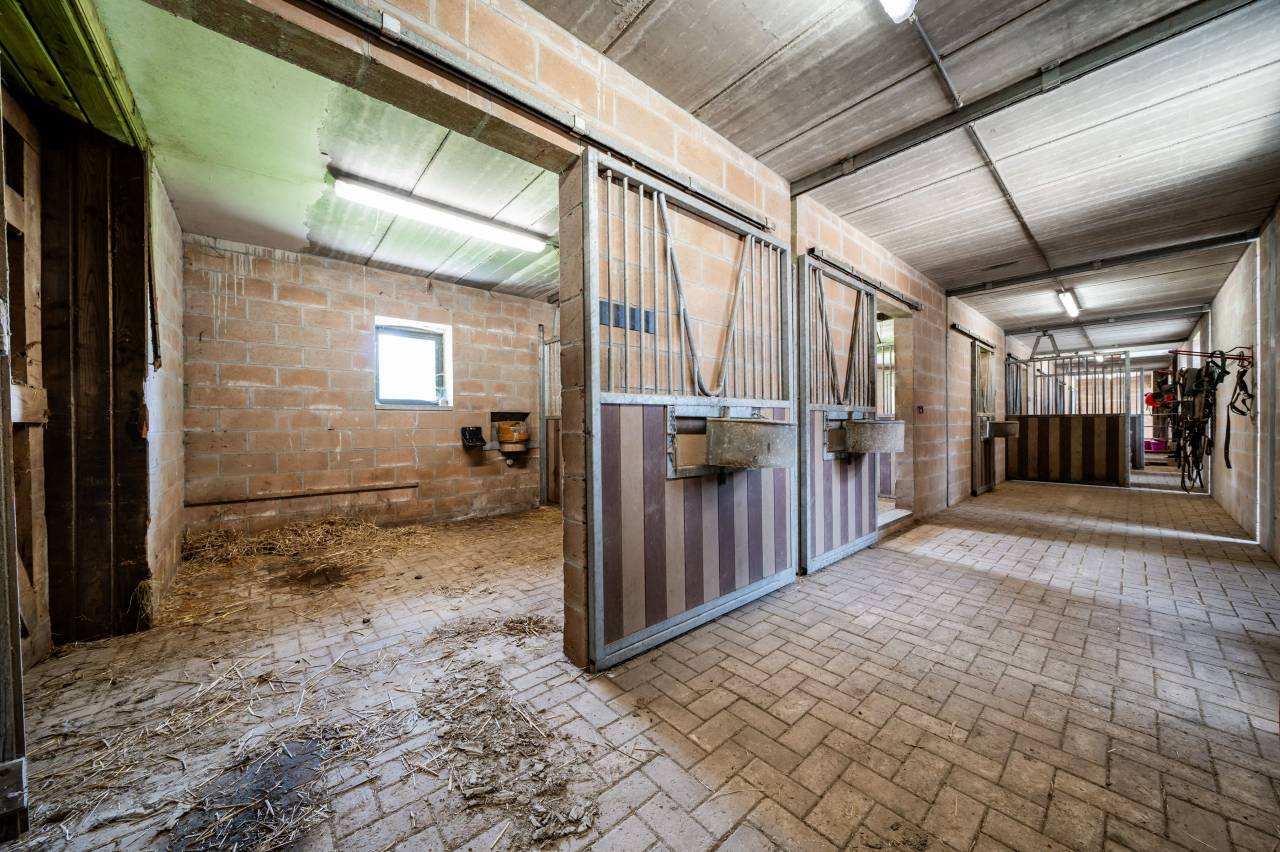 Bella dimora equestre In vendita Luxembourg belge