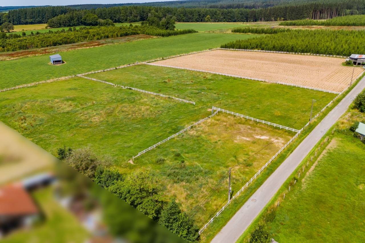 Bella dimora equestre In vendita Luxembourg belge