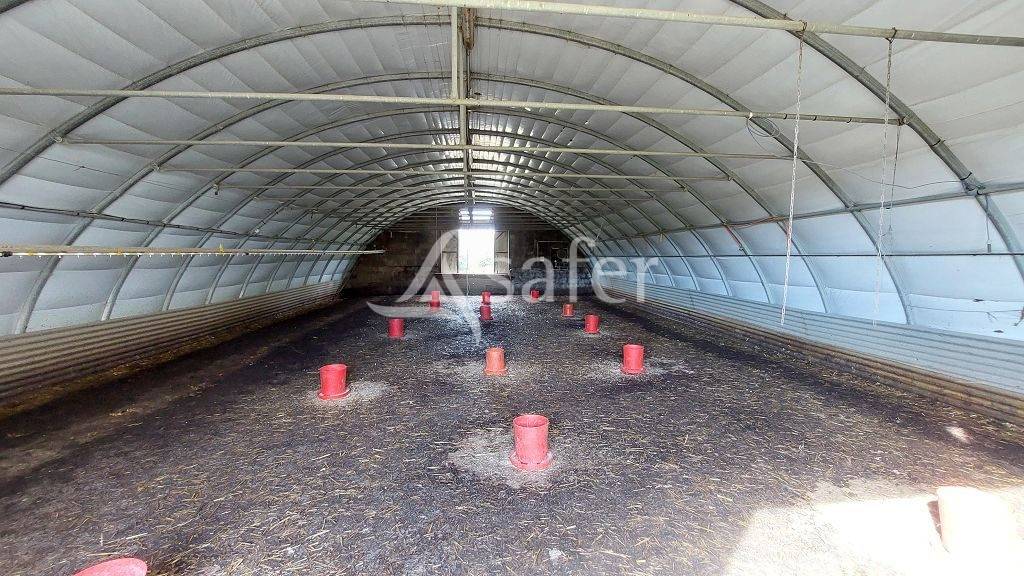 Azienda forestale In vendita Corrèze