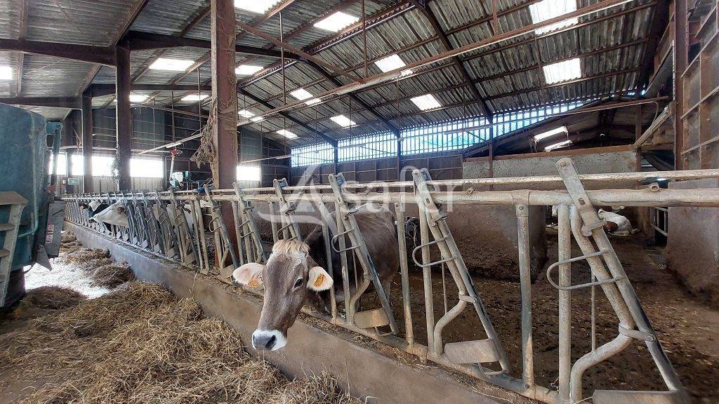 Azienda forestale In vendita Corrèze