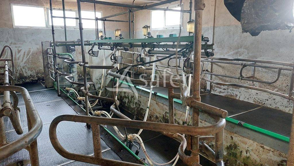 Azienda forestale In vendita Corrèze