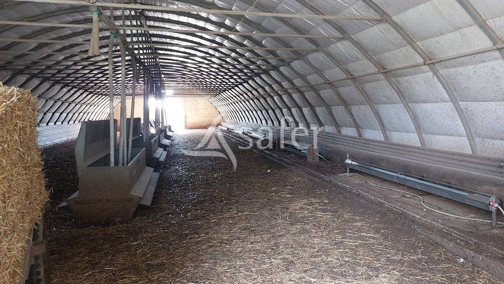 Azienda forestale In vendita Corrèze