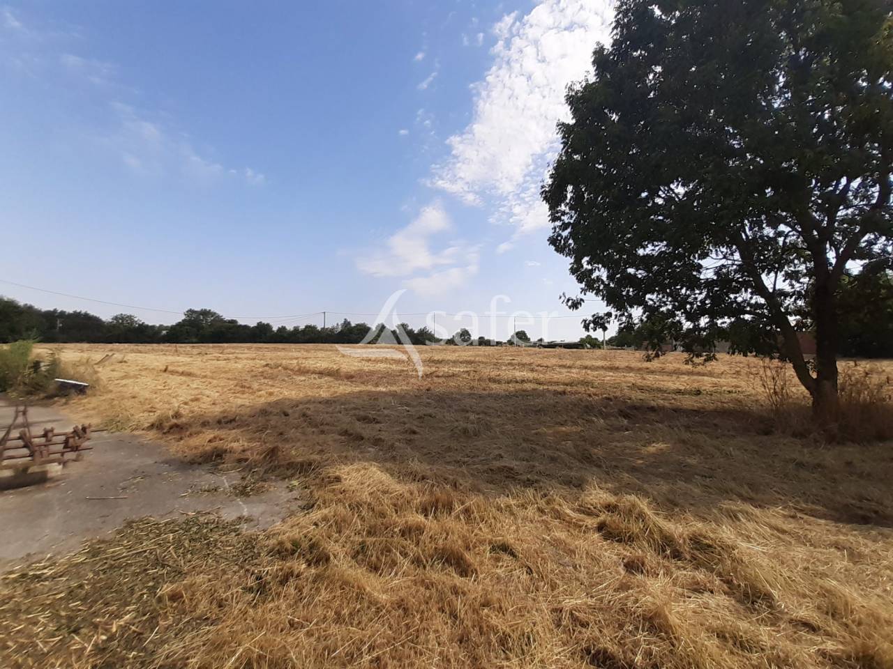 Azienda agricola In vendita Deux-S&egrave;vres