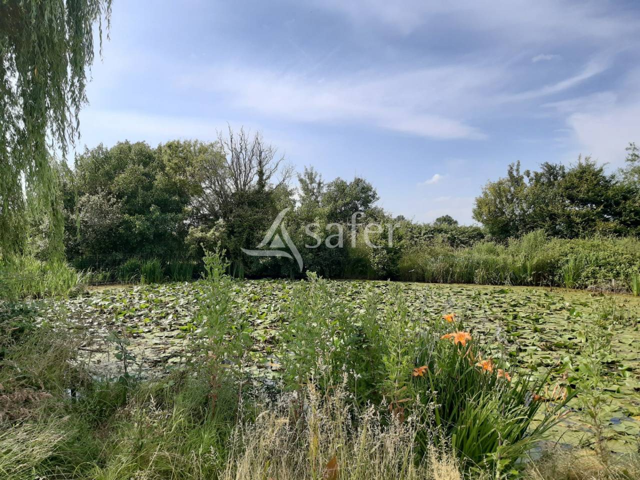 Proprietà rurale In vendita Vienne