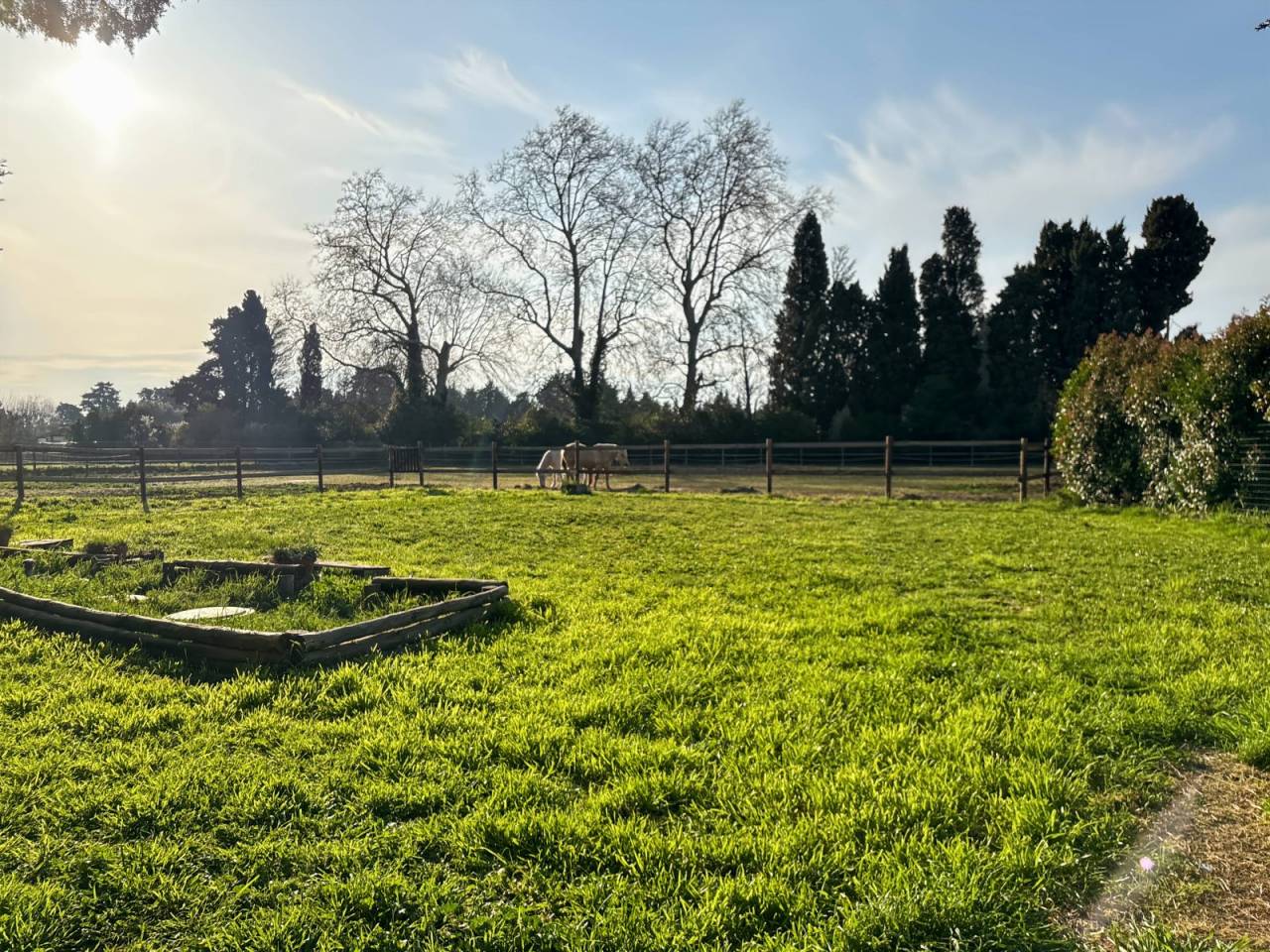 Proprietà equestre In vendita Bouches-du-Rhône