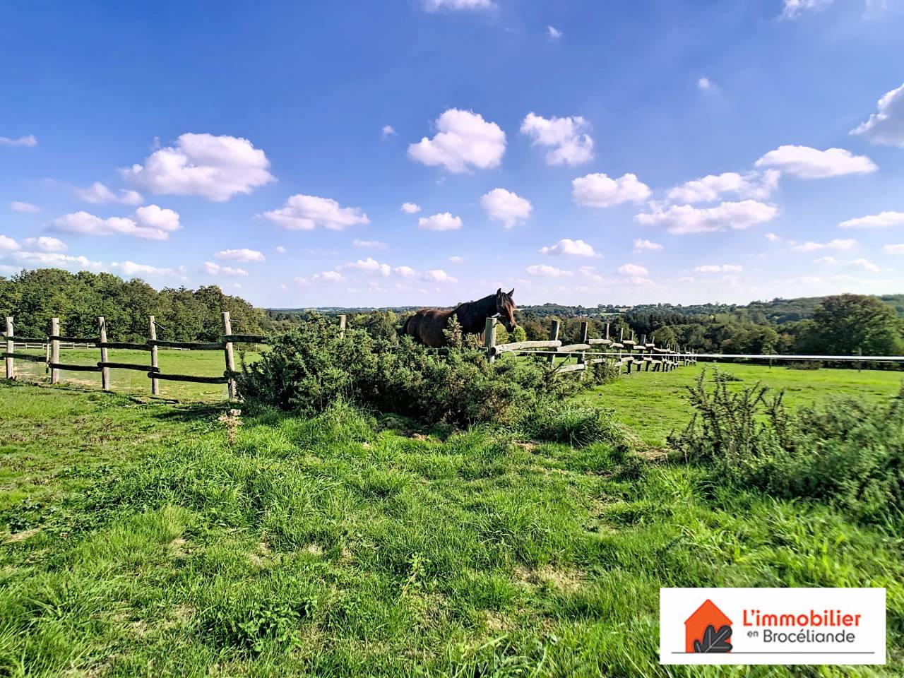 Bella dimora equestre In vendita Ile-et-Vilaine