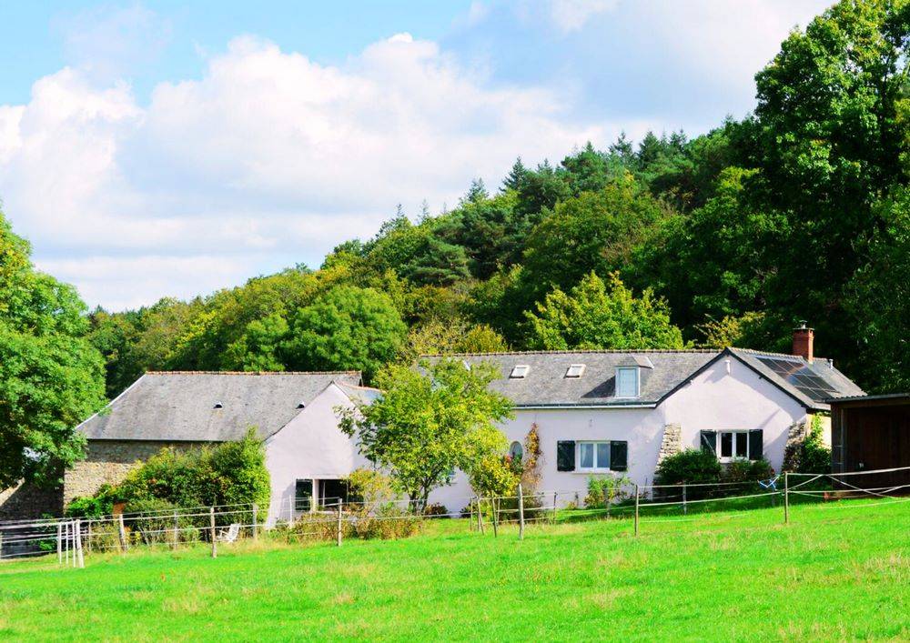 Bella dimora equestre In vendita Sarthe