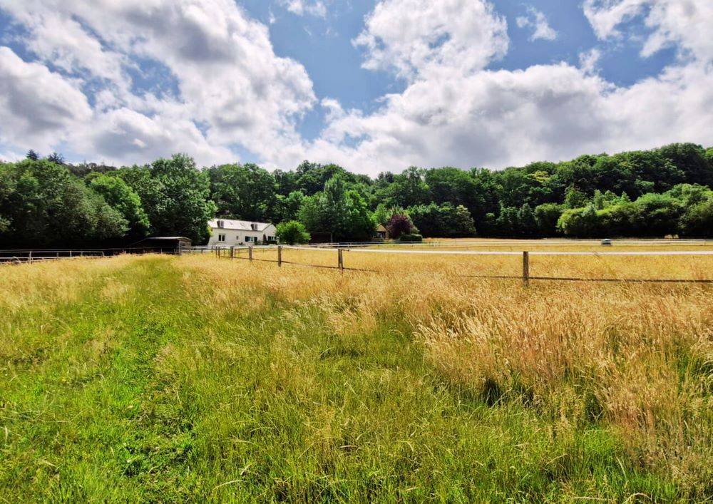 Bella dimora equestre In vendita Sarthe