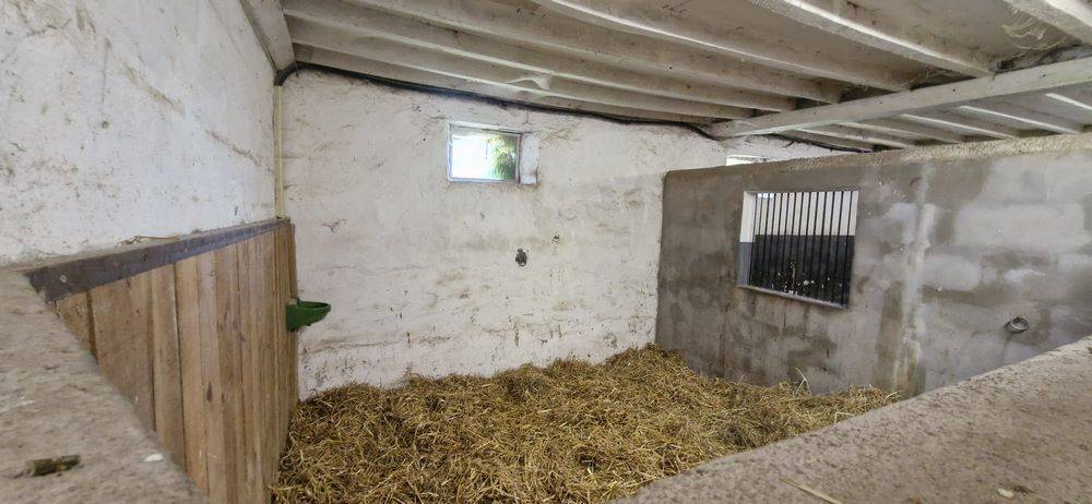 Bella dimora equestre In vendita Sarthe