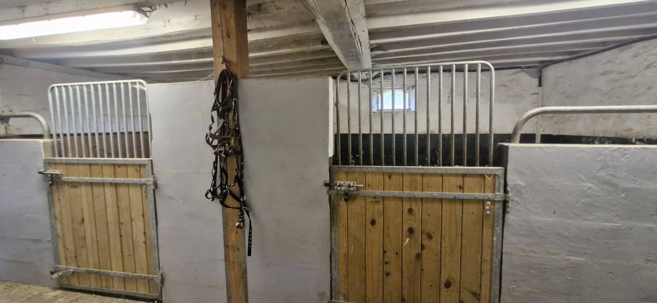 Bella dimora equestre In vendita Sarthe