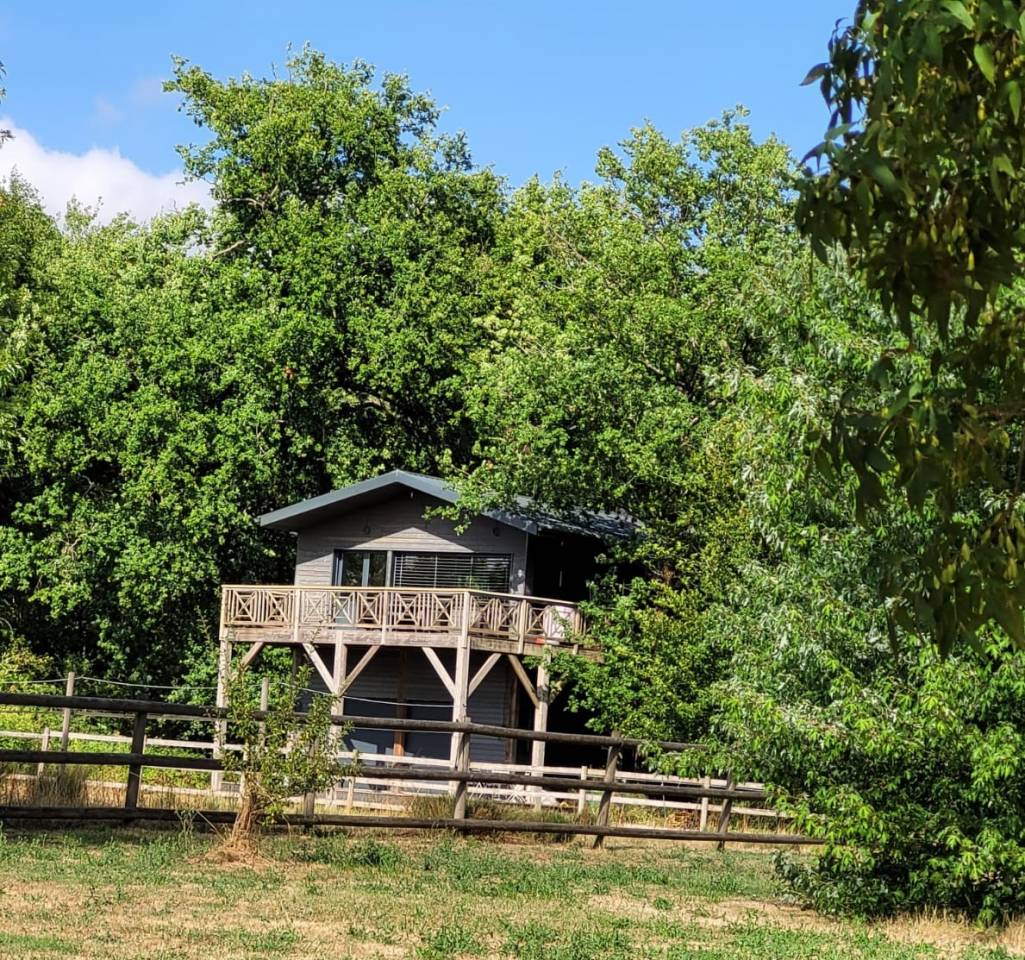 Bella dimora equestre In vendita Charente-Maritime