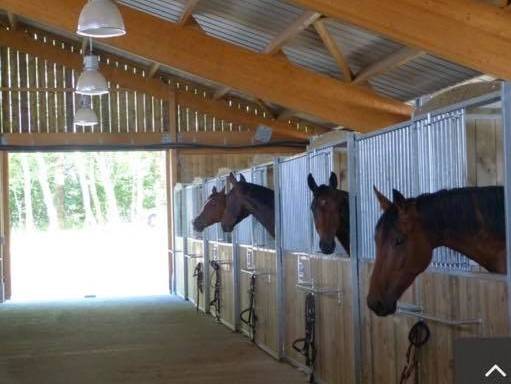 Bella dimora equestre In vendita Charente-Maritime