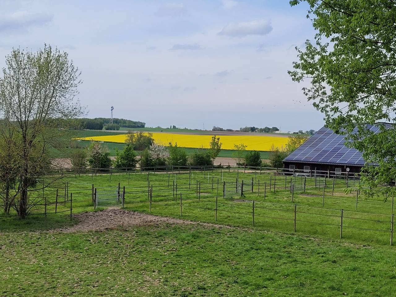 Bella dimora equestre In vendita Charente-Maritime