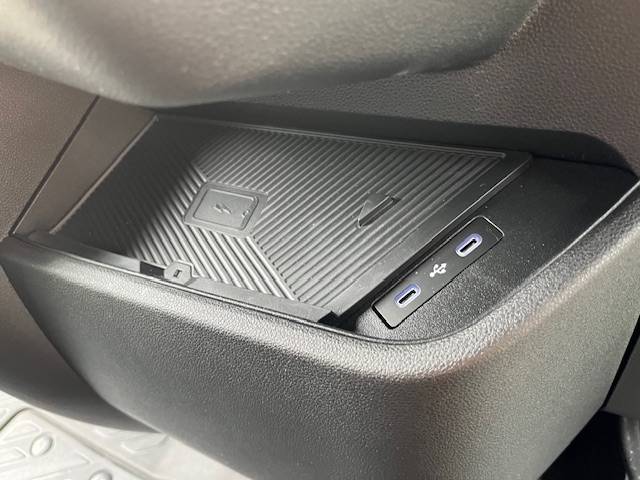 Van per Cavalli STX Master 2025 2025 Nuovo