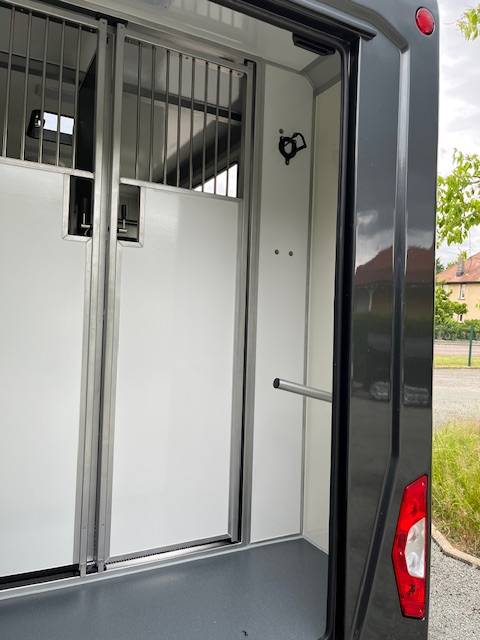 Van per Cavalli STX Master 2025 2025 Nuovo